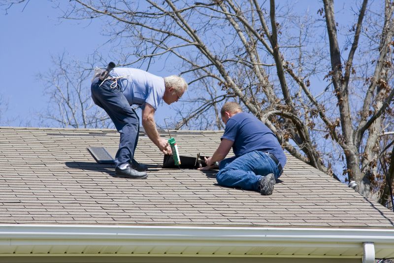 Roof Repair Projects